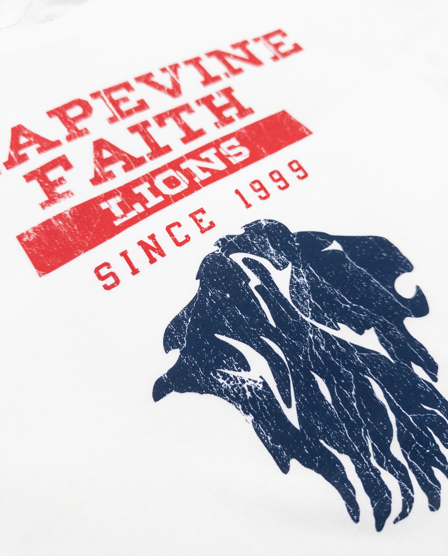 The Collegiate Favorite Tee
