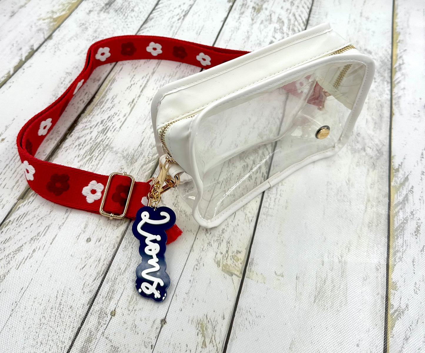 Clear Crossbody Bag
