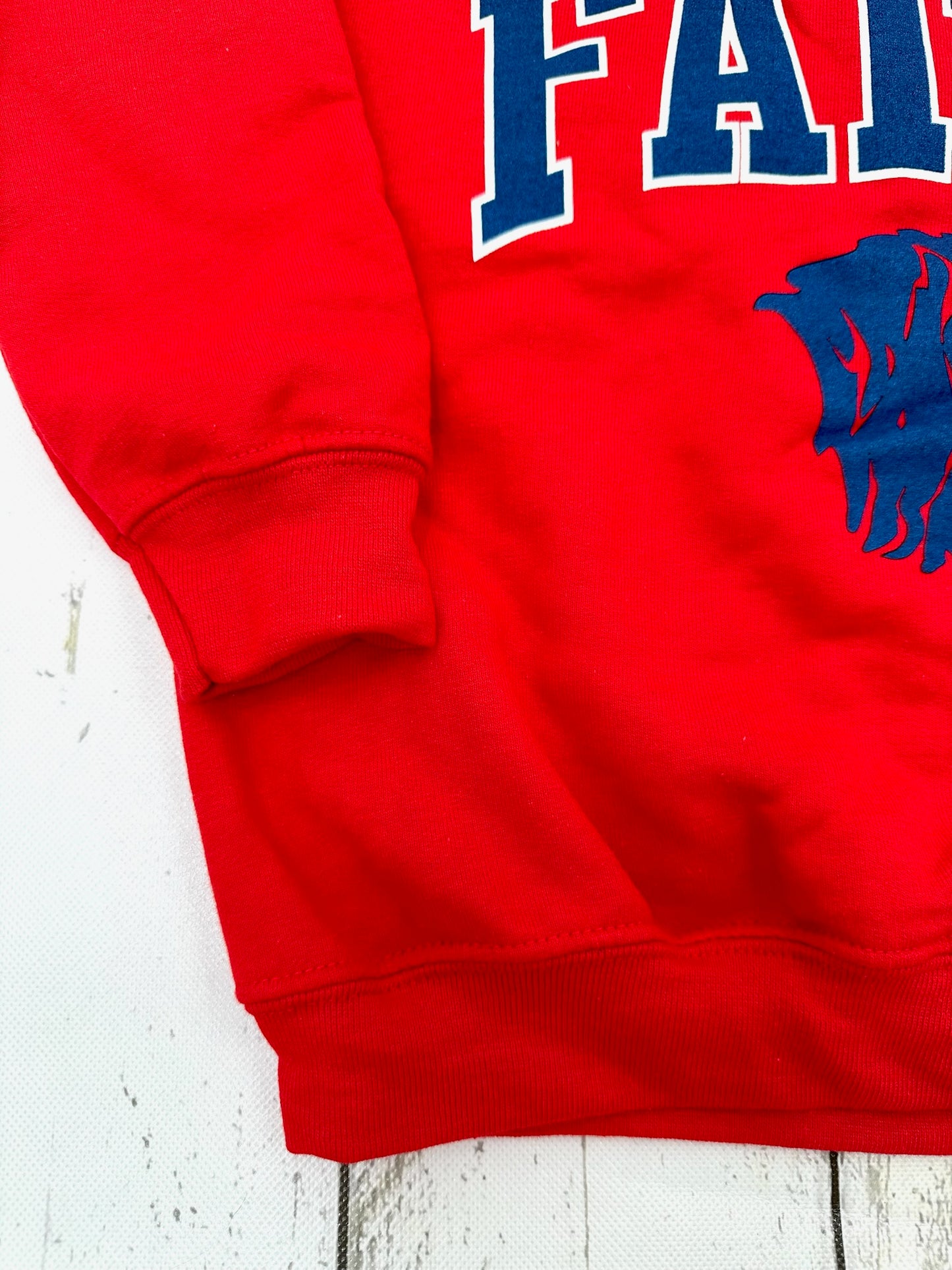 Youth Collegiate Sweatshirt