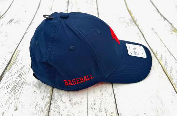 Nike Baseball Hat
