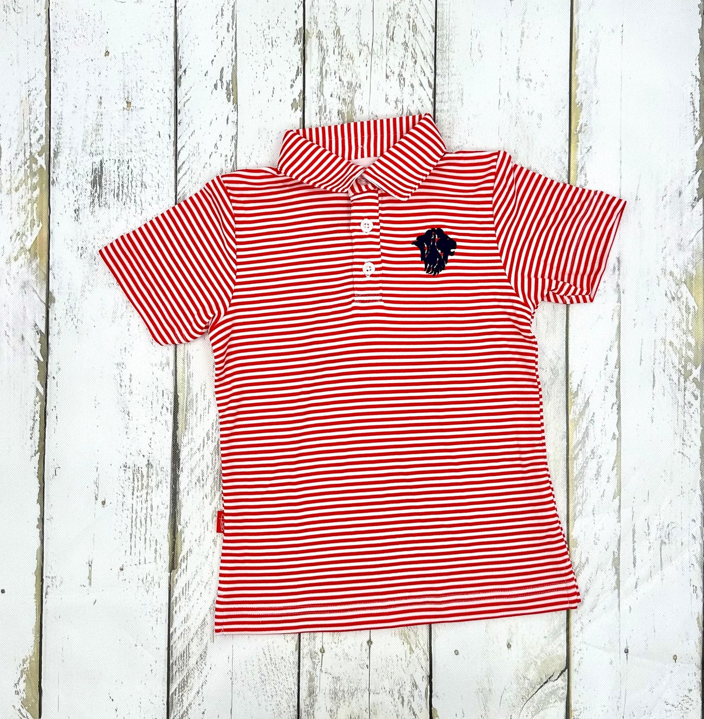 Youth Carson Stripe Polo