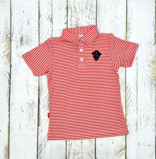 Youth Carson Stripe Polo