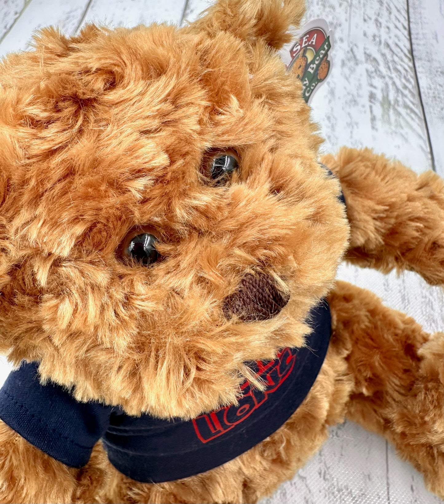 The Perfect Bear