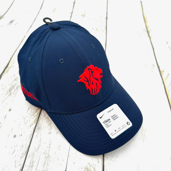 Nike Baseball Hat
