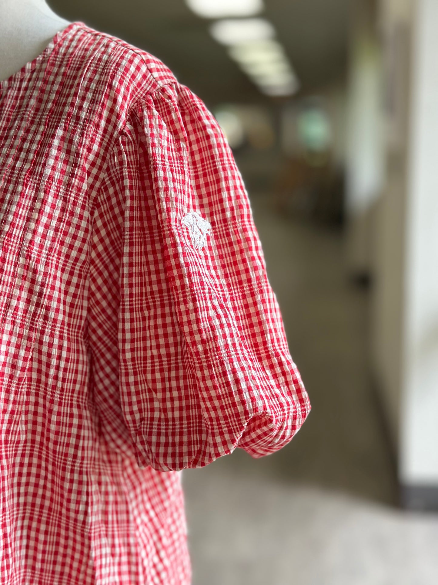 Gingham Game Day Dress