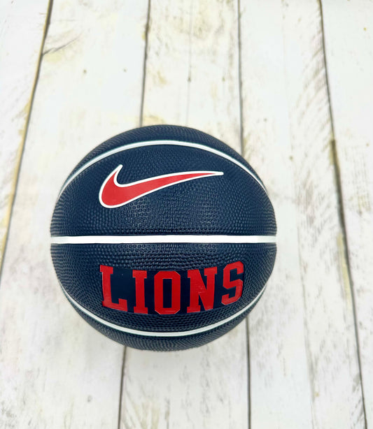 Kids Mini Nike Basketball