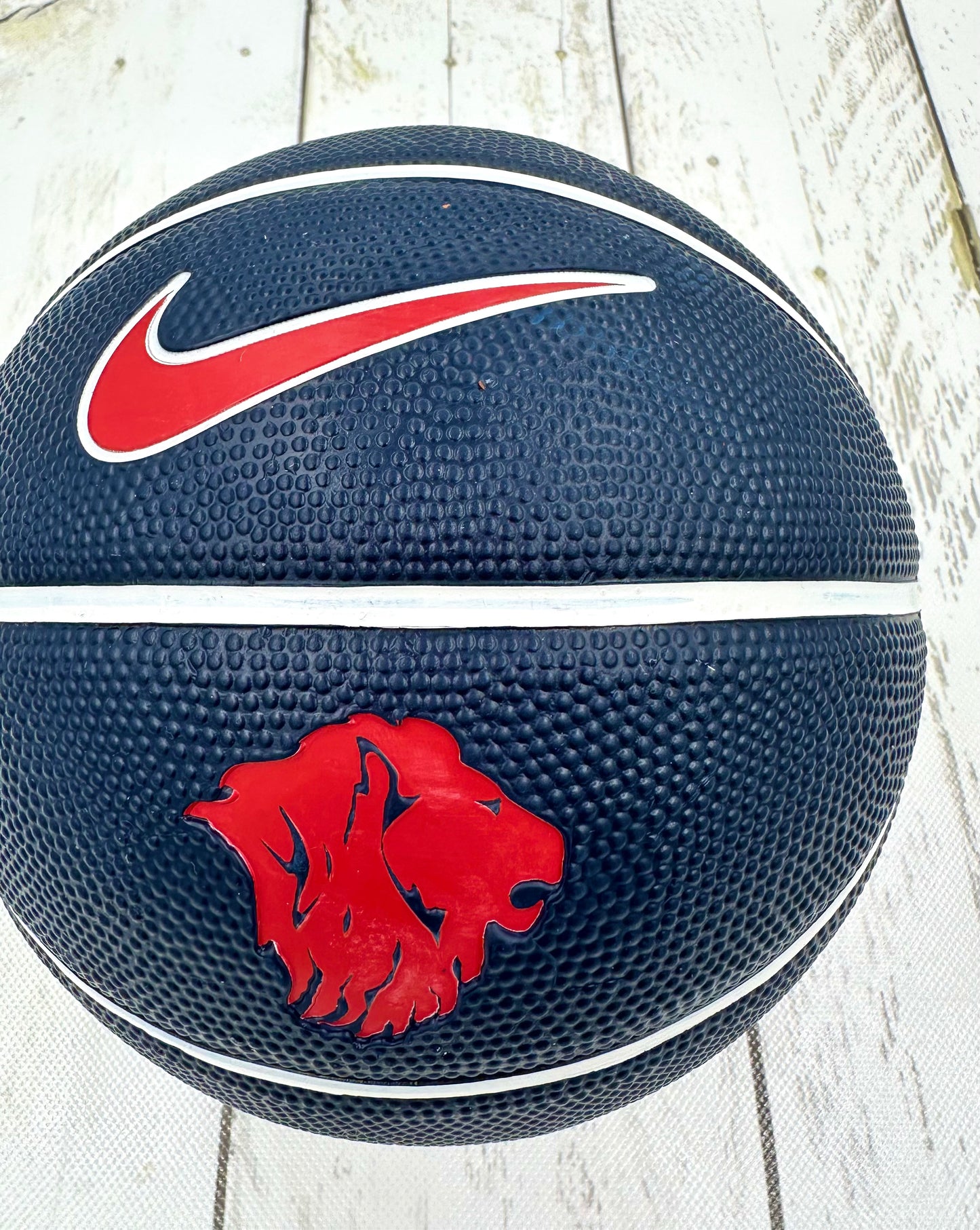 Kids Mini Nike Basketball