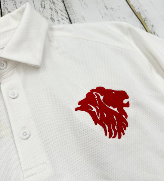 Men's Embroidered Under Armour Polo