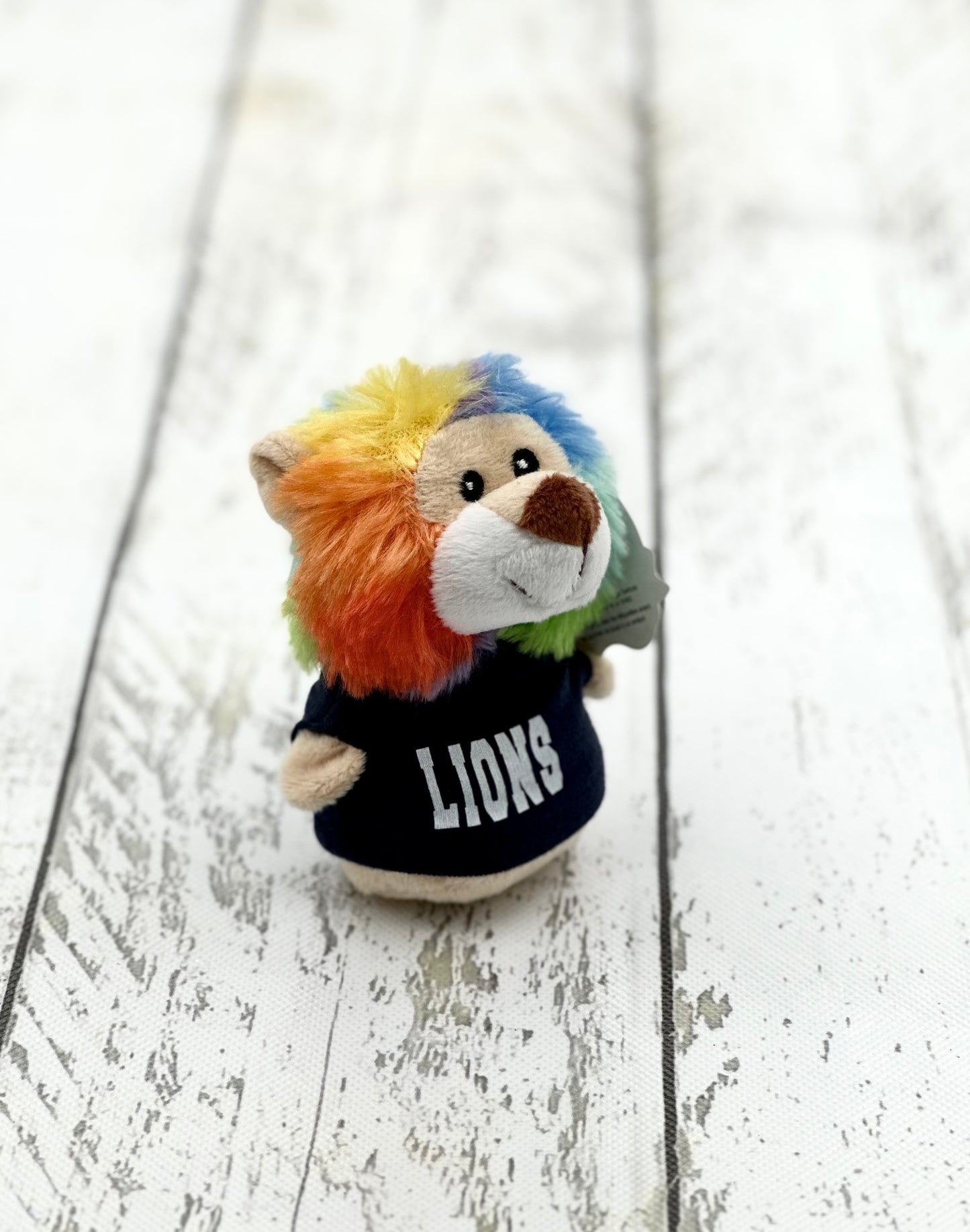 Assorted Plushies with Customized LIONS Shirt