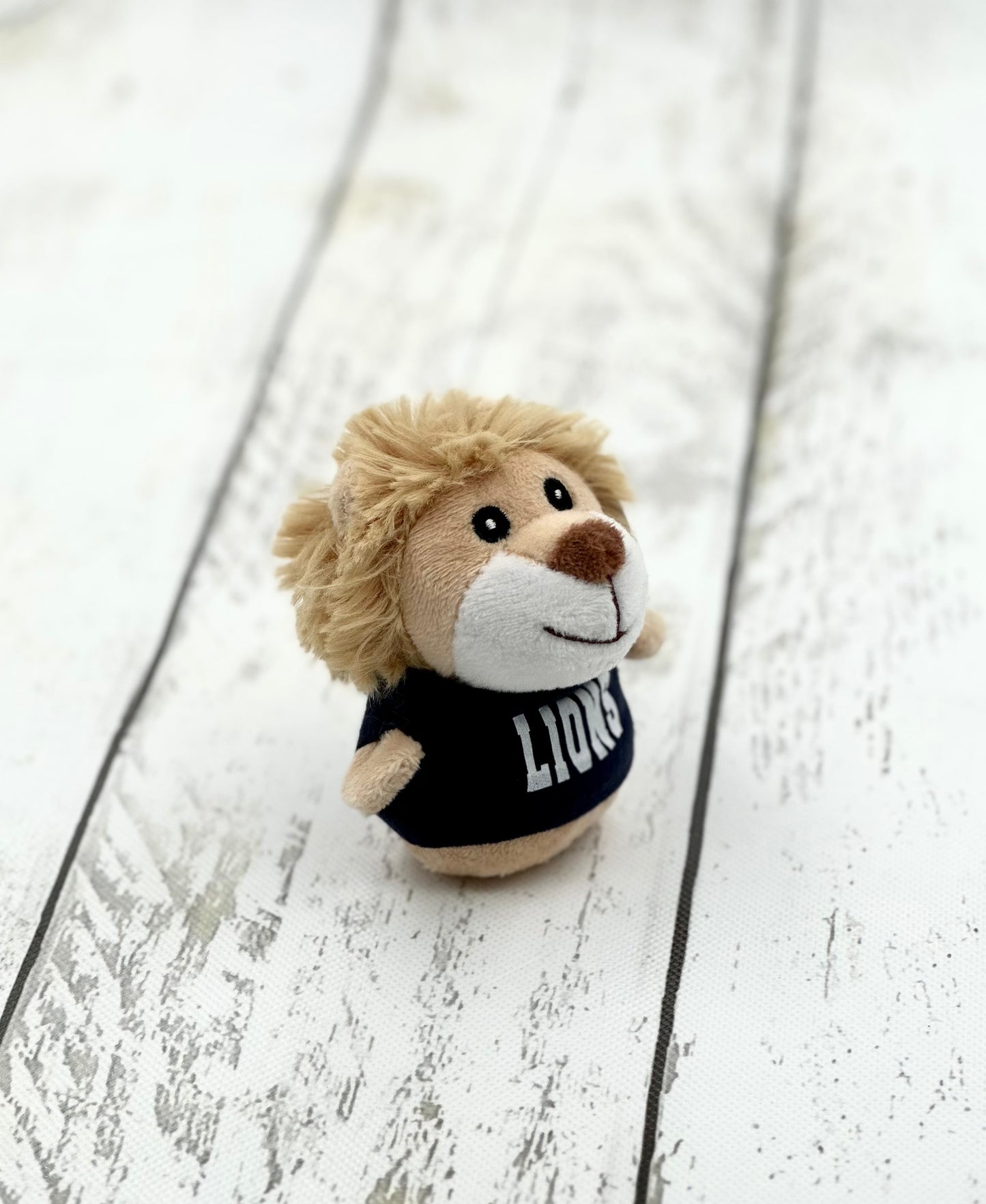 Assorted Plushies with Customized LIONS Shirt