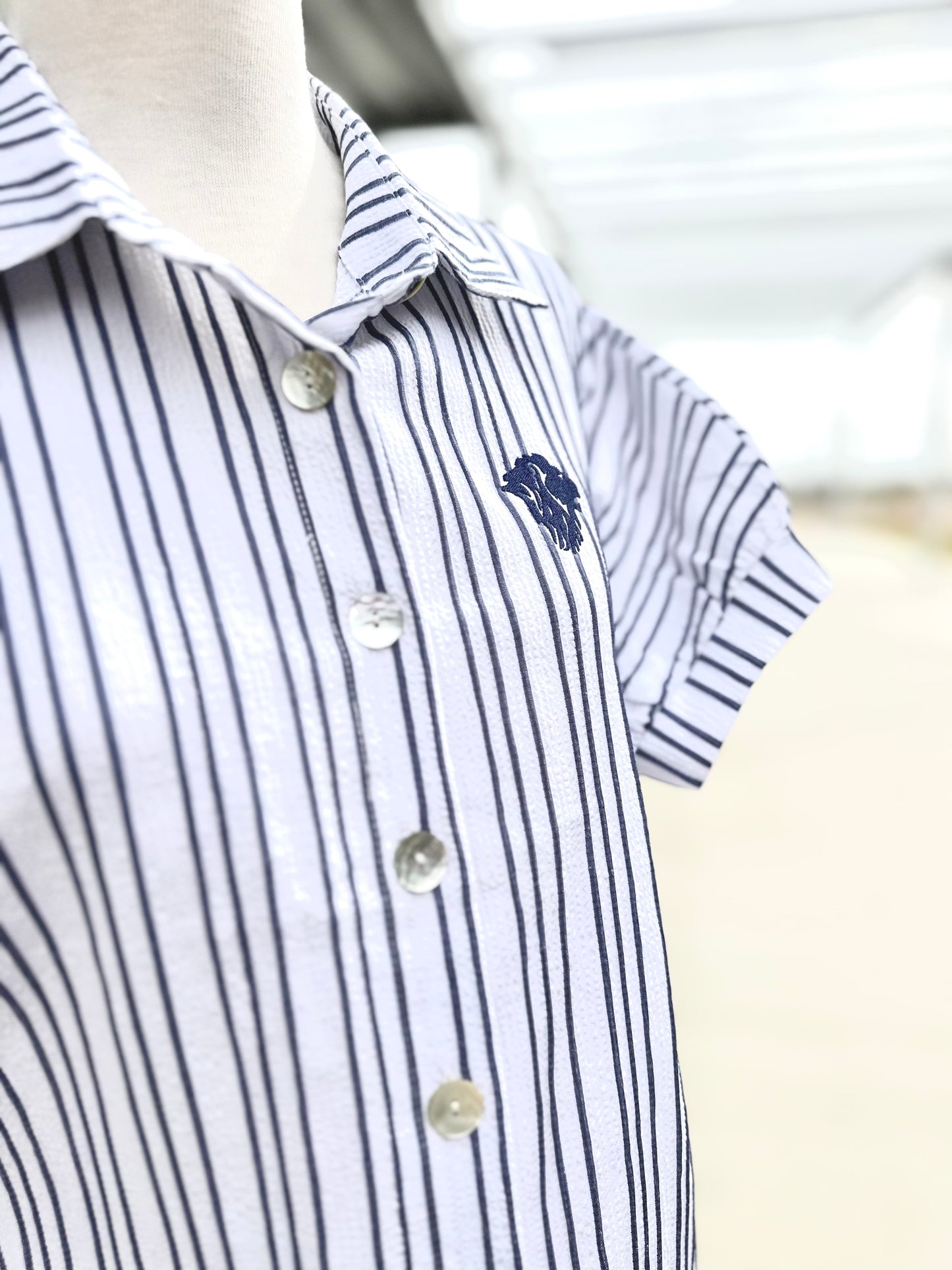 Short Sleeve Striped Dress