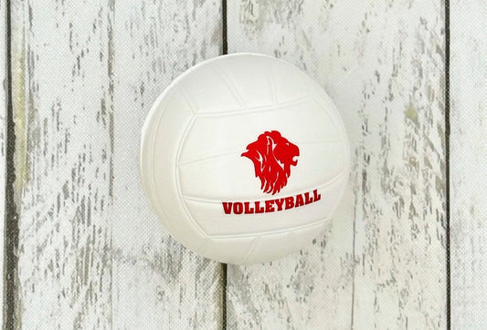 Toy Volleyball