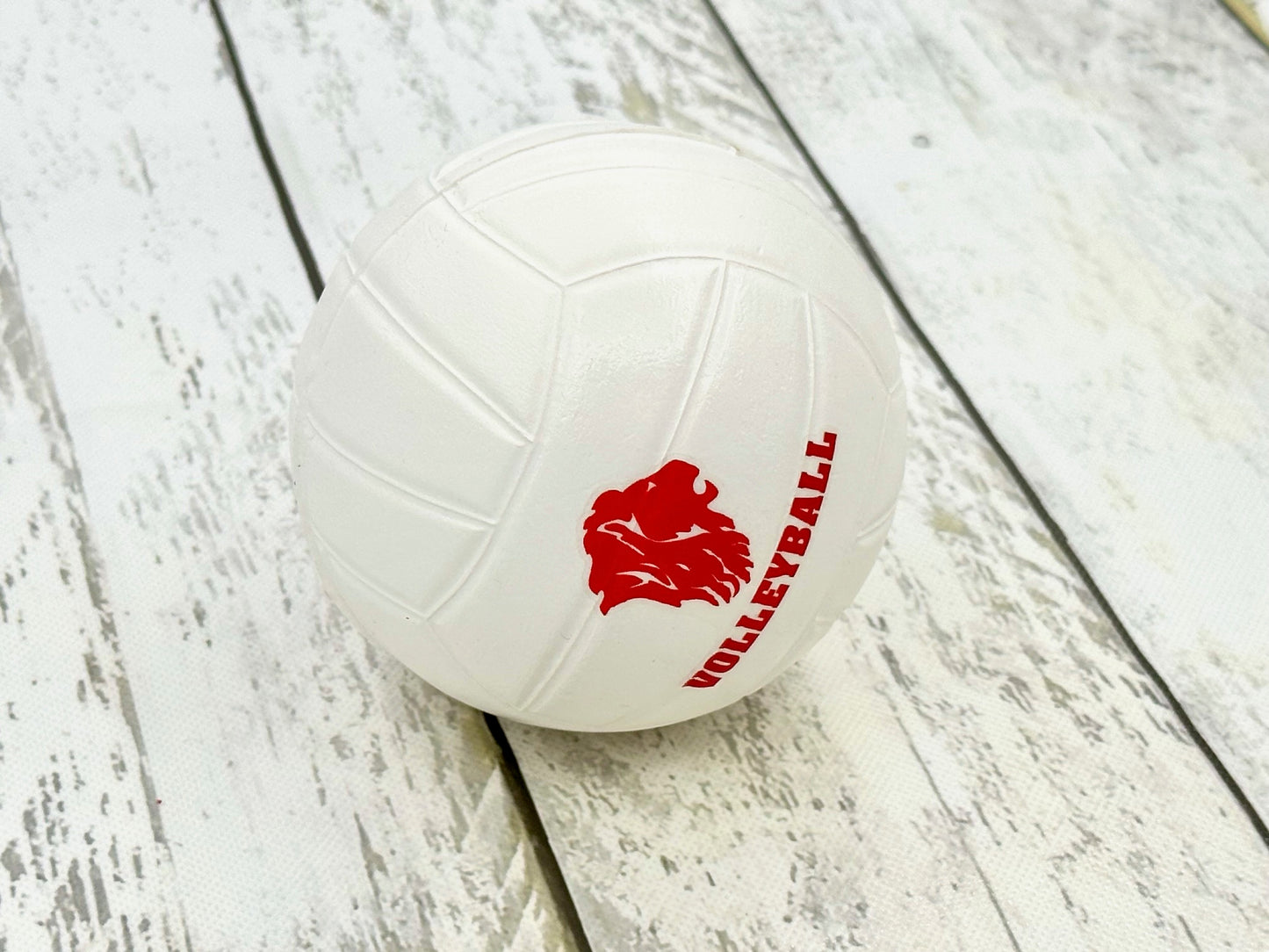 Toy Volleyball